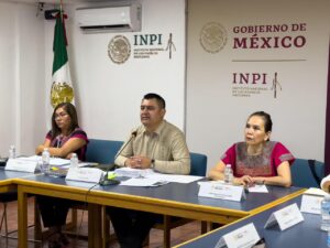 Sesión INPI 2025